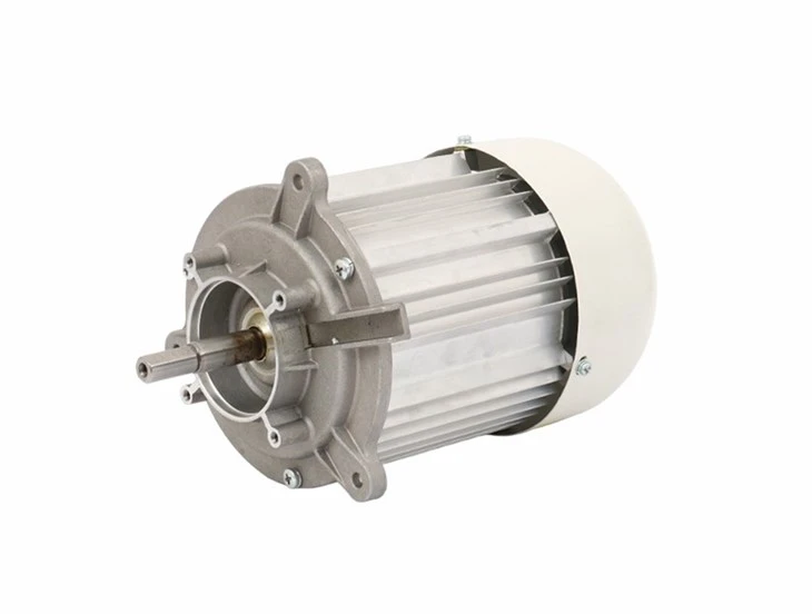 Ac Single Phase Induction Motor