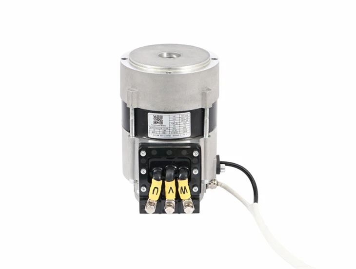 Low Voltage Induction AC Motor